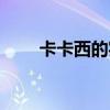 卡卡西的实力总分（卡卡西的实力）
