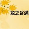 龙之谷满级后怎么玩（龙之谷满级）