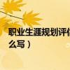 职业生涯规划评估调整评估内容（职业生涯规划评估调整怎么写）