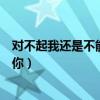 对不起我还是不能忘记你是什么歌（对不起我还是不能忘记你）