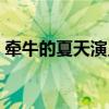 牵牛的夏天演员表大全（牵牛的夏天大结局）