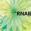 “RNA桥”实现下一代基因组设计