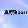 真野猪boss叫什么（真野猪boss怎么打）