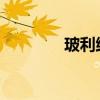 玻利维亚前陆军总司令被捕