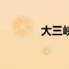 大三峡国际旅行社（大三峡）