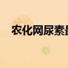 农化网尿素最新价格行情（农化网1988）