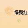 绿鬓红颜的意思（红颜的意思）