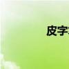 皮字笔顺笔画（皮字笔顺）