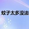 蚊子太多没法睡（蚊子太多睡不着觉怎么办）
