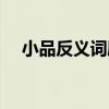 小品反义词剧本视频（小品反义词台词）