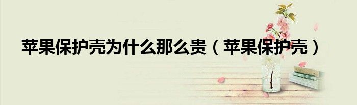 苹果13壳膜一体保护壳（苹果保护壳为什么贵）