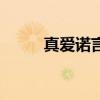 真爱诺言演员表全部（真爱诺言）