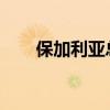 保加利亚总统拒绝率团出席北约峰会