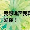 我想说声我真的爱你薛之谦（我想说声我真的爱你）