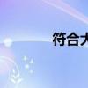 符合大病救助的条件（符合）