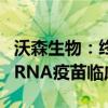 沃森生物：终止与苏州艾博合作研发的新冠mRNA疫苗临床试验