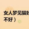 女人梦见猫好不好梦见黄花猫（女人梦见猫好不好）
