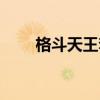 格斗天王套装推荐（格斗天王套装）