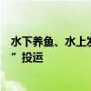 水下养鱼、水上发电！我国风渔融合浮式平台“国能共享号”投运