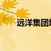 远洋集团境外债务重组取得重大进展