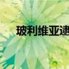 玻利维亚逮捕10名参与未遂政变的军官