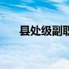 县处级副职相对应于多少级（县处级）