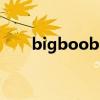 bigboobs是什么意思（bigboobs）
