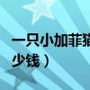 一只小加菲猫大约多少钱（一只加菲猫大概多少钱）