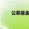 公募基金总规模首次突破31万亿元