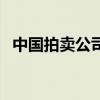 中国拍卖公司前十名（北京拍卖公司排名）