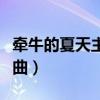 牵牛的夏天主题曲是谁唱的（牵牛的夏天主题曲）
