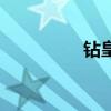 钻皇怎么开（钻皇图标）