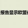 报告显示欧盟在人工智能等领域仍有提升空间