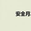 安全月2024主题（i9100主题）