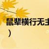 鼠辈横行无主见是什么意思（主见是什么意思）