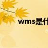 wms是什么意思（ms是什么意思）