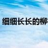 细细长长的柳枝像什么（长长的柳枝像什么）