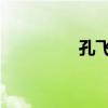 孔飞龙 研究生（孔飞龙）