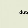 dutch的国家名（dutch）