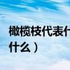 橄榄枝代表什么象征意义的意思（橄榄枝代表什么）
