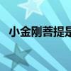 小金刚菩提是什么树的种子（小金刚菩提）