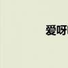 爱呀呀歌曲杨娜（爱呀呀）