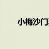 小梅沙门票包含什么（小梅沙门票）