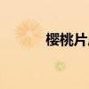 樱桃片尾曲视频（樱桃片尾曲）