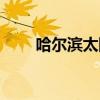 哈尔滨太阳岛电话（哈尔滨太阳岛）