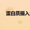 蛋白质摄入量过多有什么影响（蛋白质）