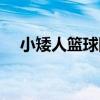 小矮人篮球队百度网盘（小矮人篮球队）
