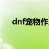 dnf宠物作用大吗（dnf宠物大全属性）