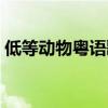 低等动物粤语歌词大全（低等动物粤语歌词）