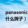 panasonic是什么牌子相机（panasonic是什么牌子）